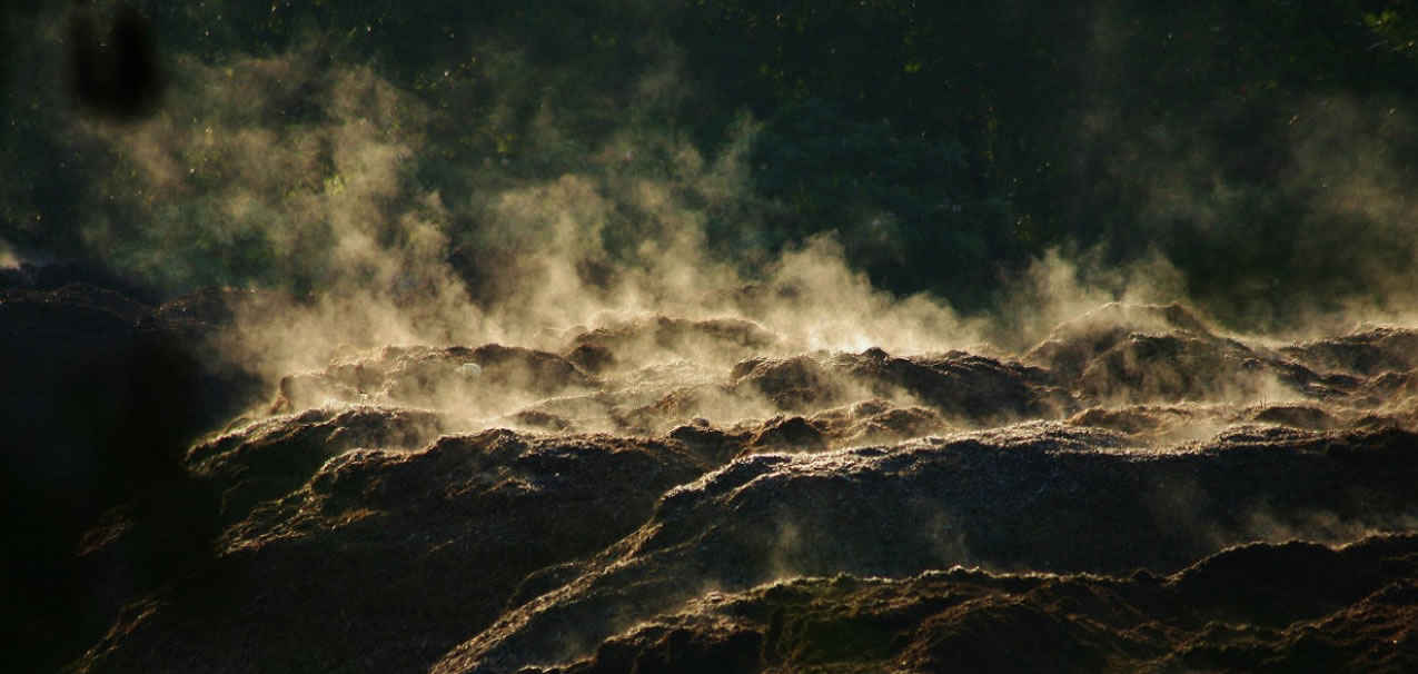 Mulch piles